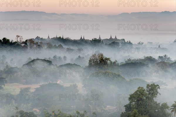 Pagodas and temples surrounded by trees