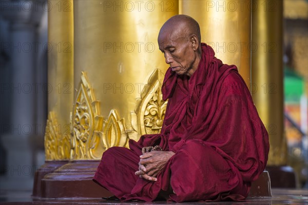 Buddhist monk in prayer