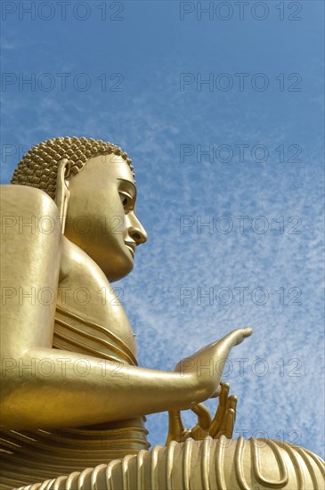 Buddha Statue at the Golden Temple