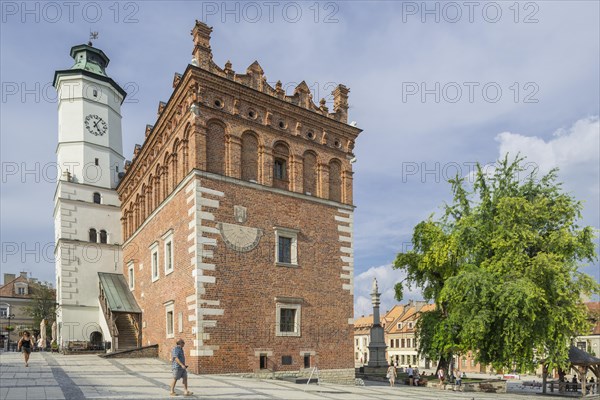 Town Hall with a tower at the market place