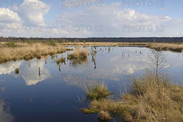 Rewetted moor