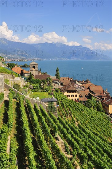 View over the wine-producing village and Lake Geneva towards Lausanne