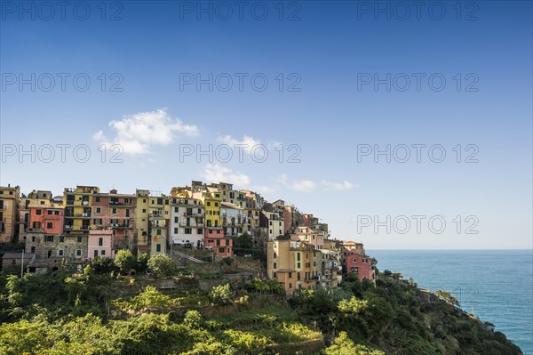 Village with colorful houses by the sea