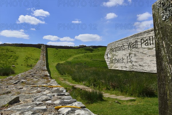 Hadrian's Wall meandering through the landscape