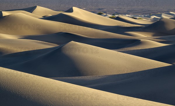 Mesquite Flat Sand Dunes in the early morning