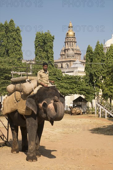 Mahout riding an Indian elephant