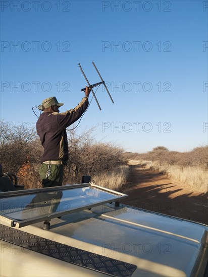 Man is radio tracking a leopard at the Okonjima Lodge