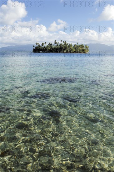 Tropical island with palm trees