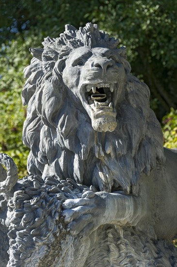 Lion figure as water spout