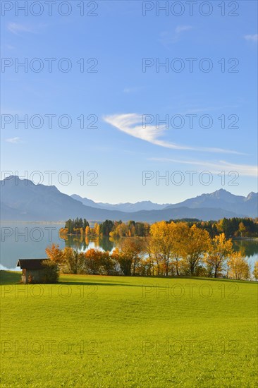 Autumn morning on Forggensee at Rosshaupten