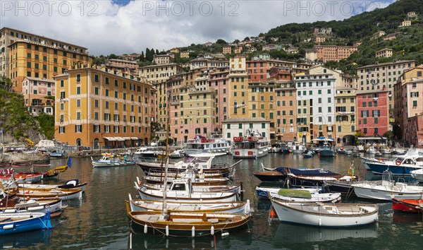 Harbour with fishing boats