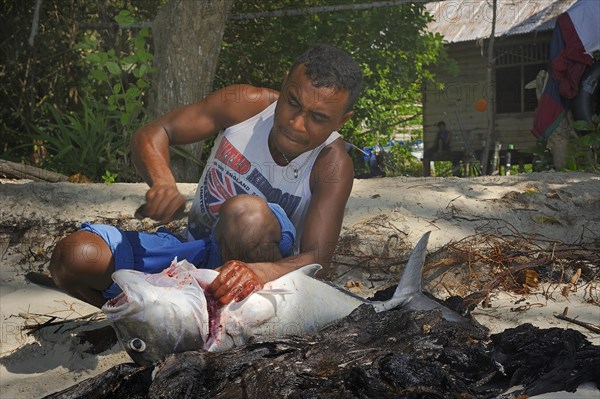 Fisherman gutting a large fish