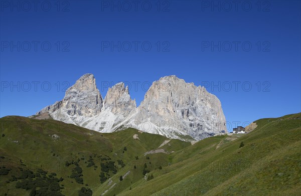 Alpine meadow