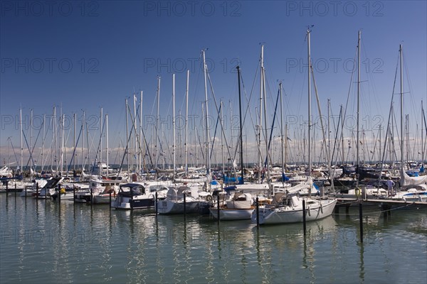Sailboats in the marina