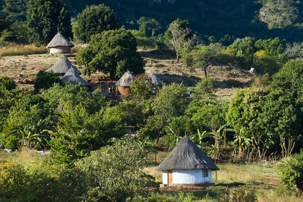 Adobe houses