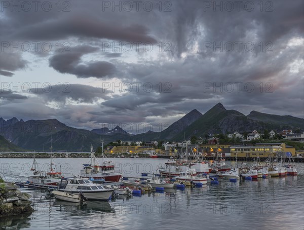 Boats in the harbour