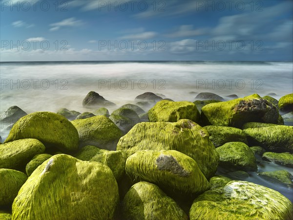 Rocks and seaweed on the beach of Napali Coast