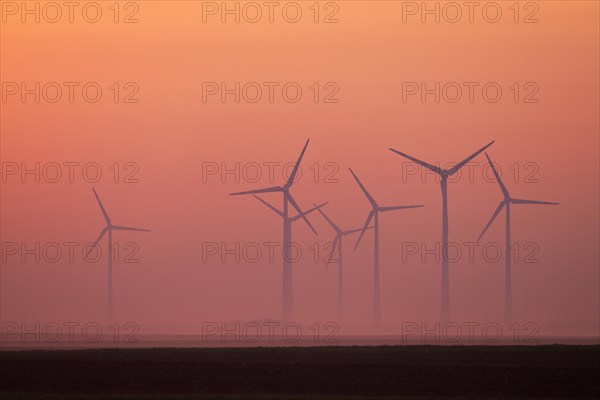 Wind farm in the fog