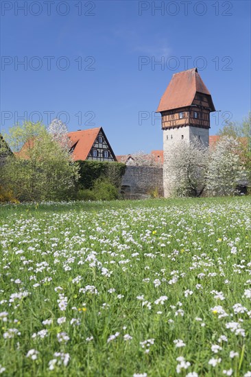 Bauerlinsturm tower with city walls