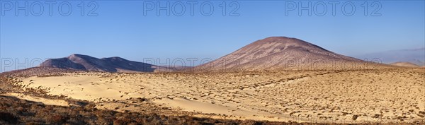 Desert-like landscape