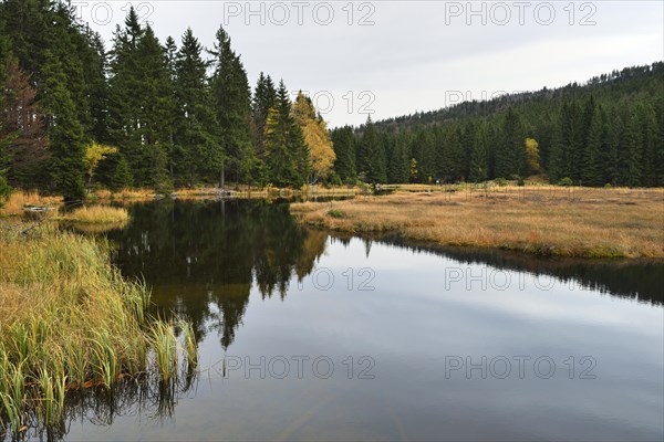 Autumn in the Naturschutzgebiet Kleiner Arbersee nature reserve