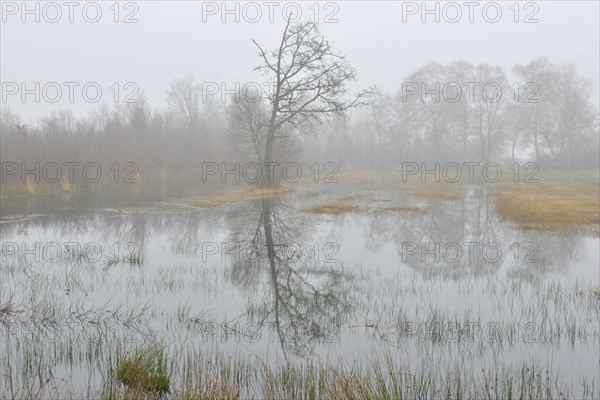 High moor in autumn