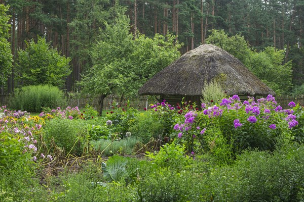 Farmhouse with a garden