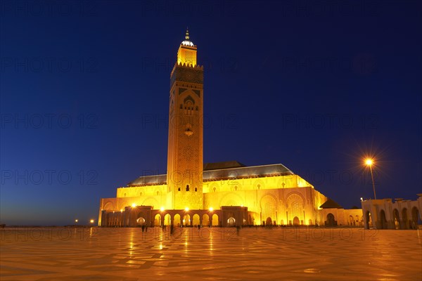 Hassan II Mosque at night