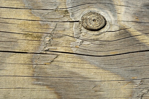 Wood grain of an old barn door