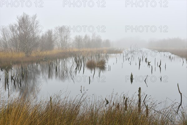 High moor in autumn