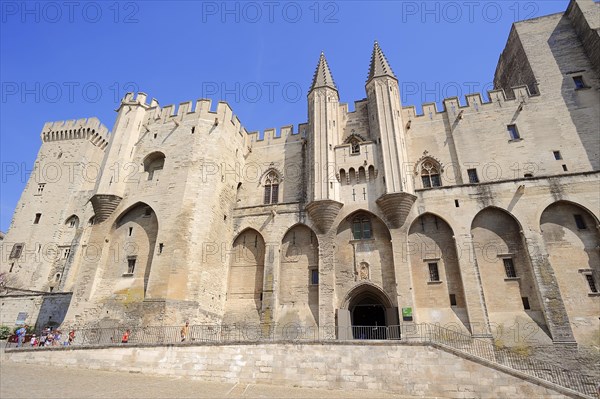 Palais des Papes or Papal Palace