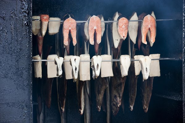 Fish in the smoker