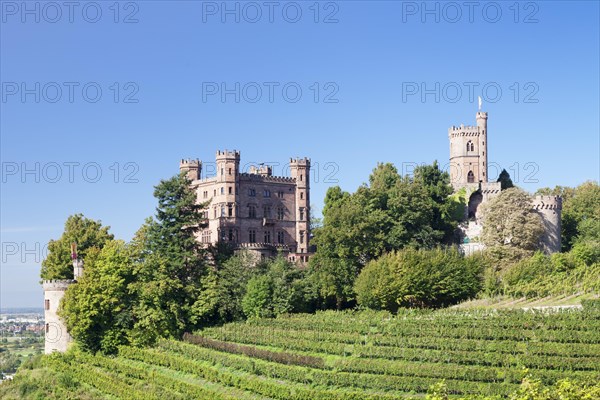 Schloss Ortenberg