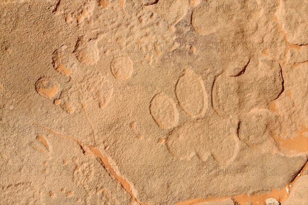 Neolithic rock art