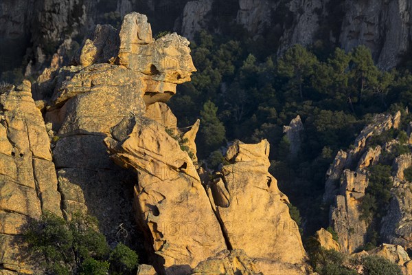 Bizarre rock erosions in the evening light