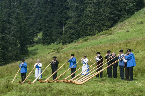 Group of alphorn players performing on a meadow in Justistal valley