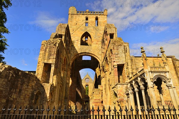 The ruins of Jedburgh Abbey