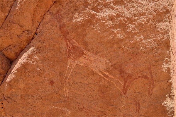 Rock painting of a dama gazelle