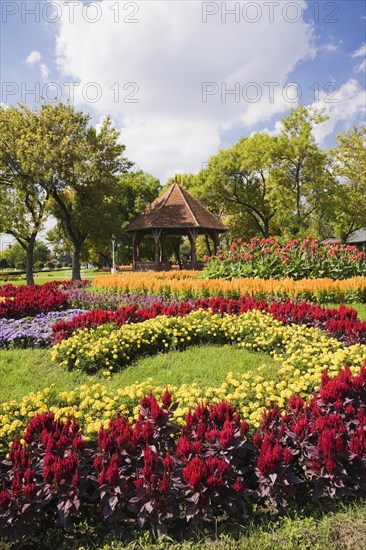 Gazebo and floral displays of red cockscomb (Celosia)