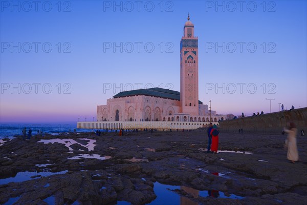 Hassan II Mosque at dusk