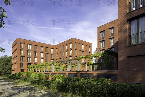 Residential buildings with a pergola