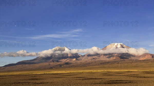 Landscape in the Sajama National Park