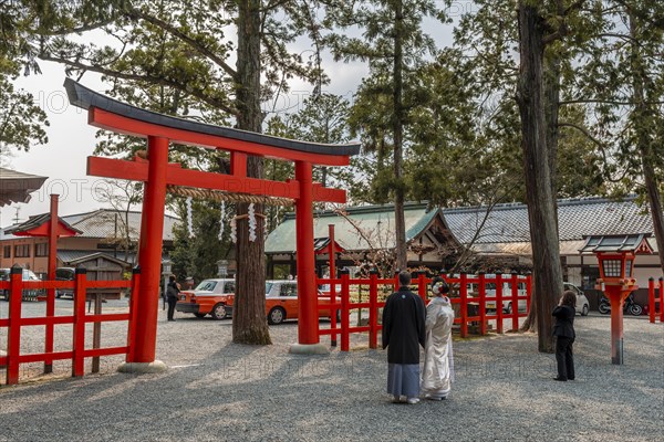 Wedding couple in front of Torii