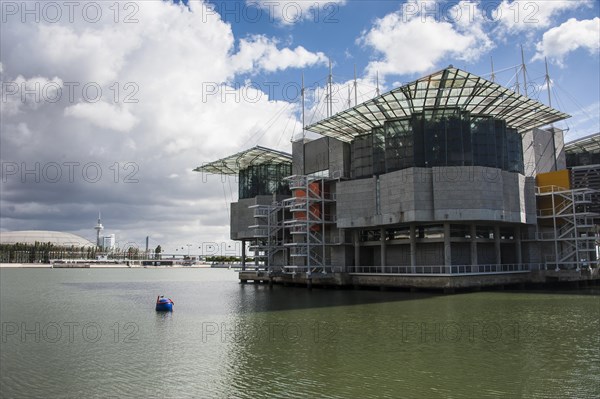 Oceanario de Lisboa or Lisbon Oceanarium