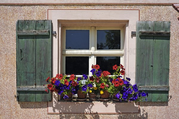 Flowers at the window of a farm house
