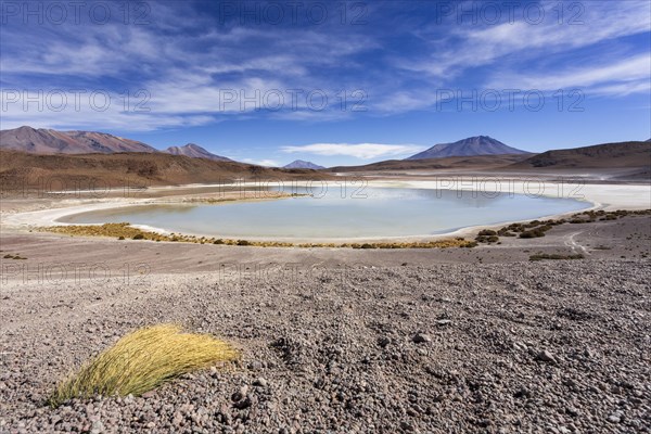 The lake Laguna Honda