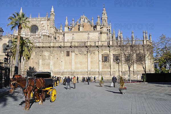 Horse and carriage