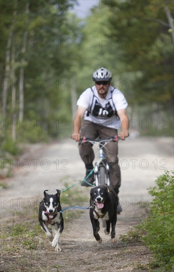 Man bikejoring or bikejoring