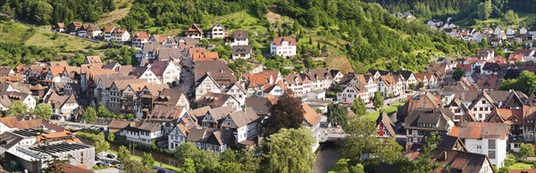 Townscape of Schiltach