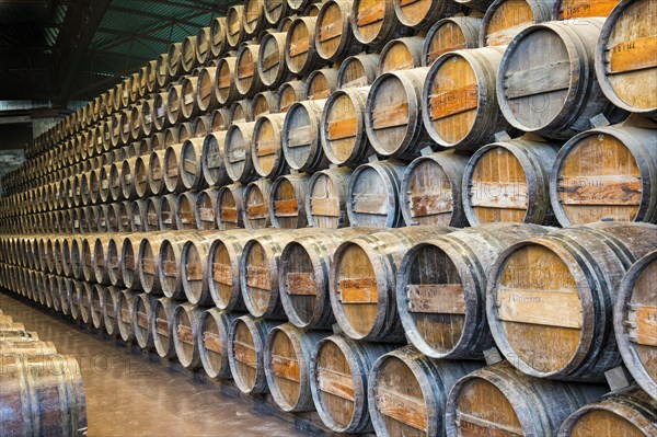 Wine barrels